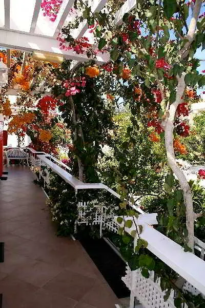 Apartamentos El Capricho Meloneras